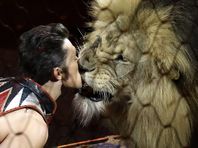Ringling Bros. owner: Final shows are ‘a celebration’